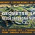 Geometrie-Sacre-nella-Sardegna-Nuragica