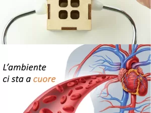 “Gli effetti benefici sul sangue di un ambiente biocompatibile”, di Emanuele Polce